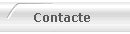 Contacte
