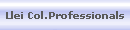 Llei Col.Professionals